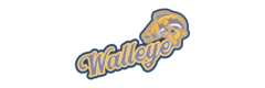 Minnesota Walleye Hockey